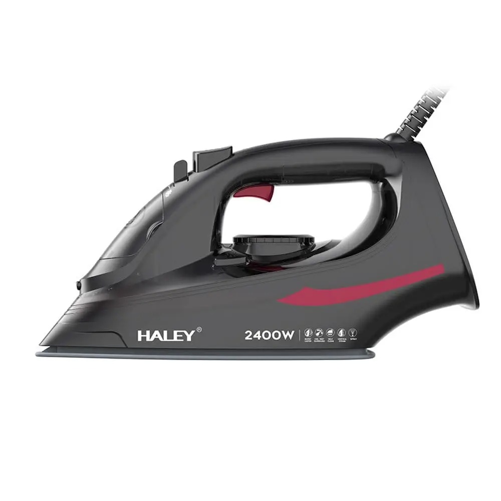 Steam Iron